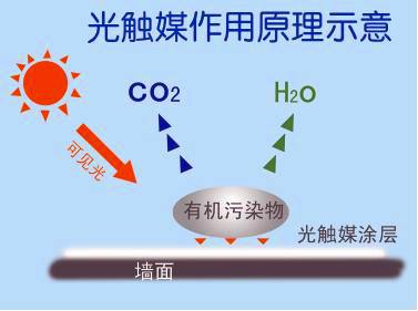 新房除甲醛需要注意哪些？都有哪些有效去除的方法？