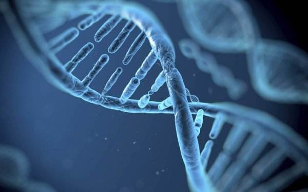 杭州甲醛檢測提醒您！空氣污染顆粒入侵孕婦胎盤，損害胎兒健康和智力
