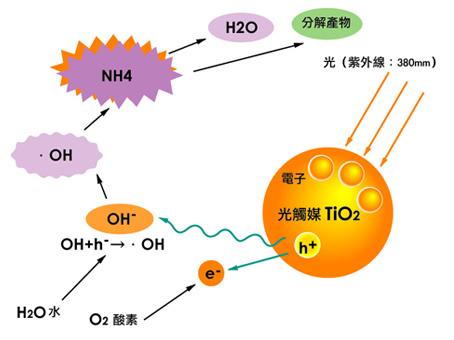 如何辨別劣質(zhì)光觸媒？