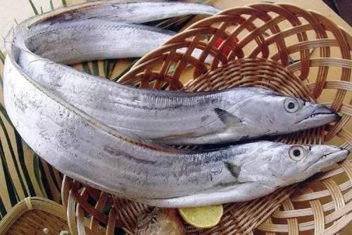 甲醛檢測機(jī)構(gòu)帶你分清甲醛帶魚！